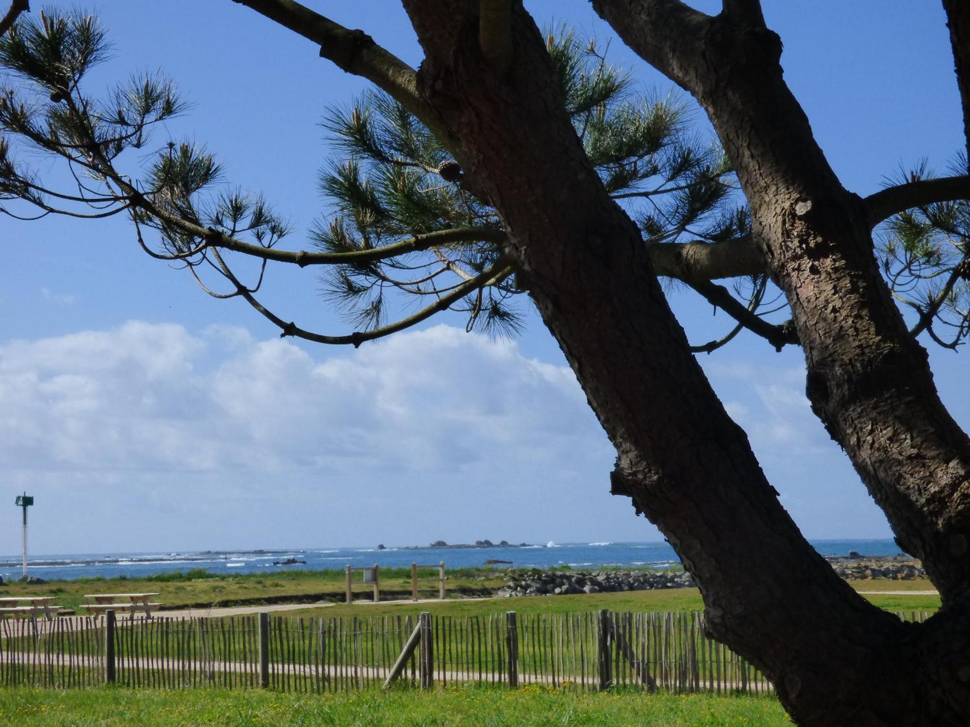 Appart-Studios Vue Mer Panoramique St Guenole Cote Mer Penmarcʼh Kamer foto